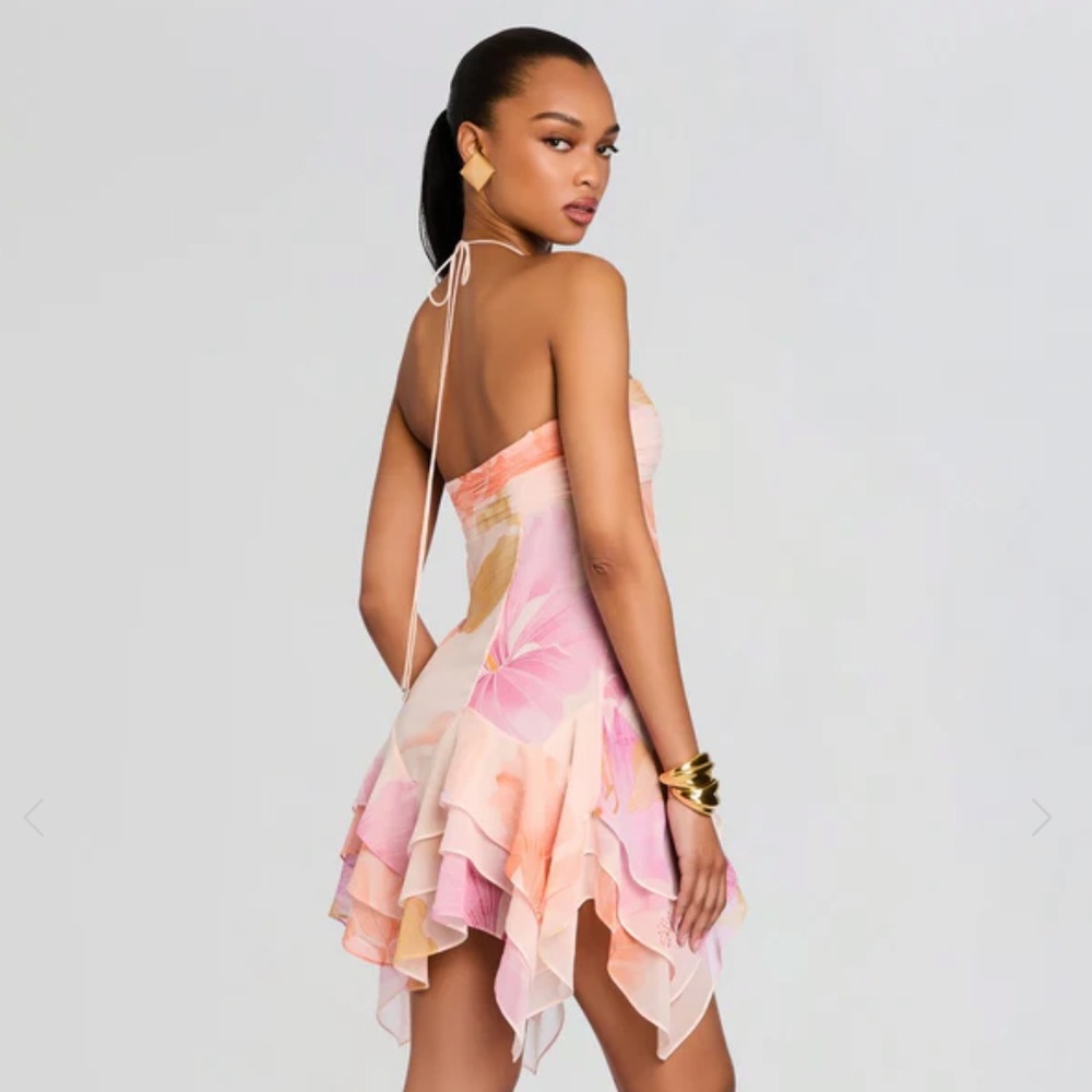 Retrofete Maura Dress - Picture 5 of 6